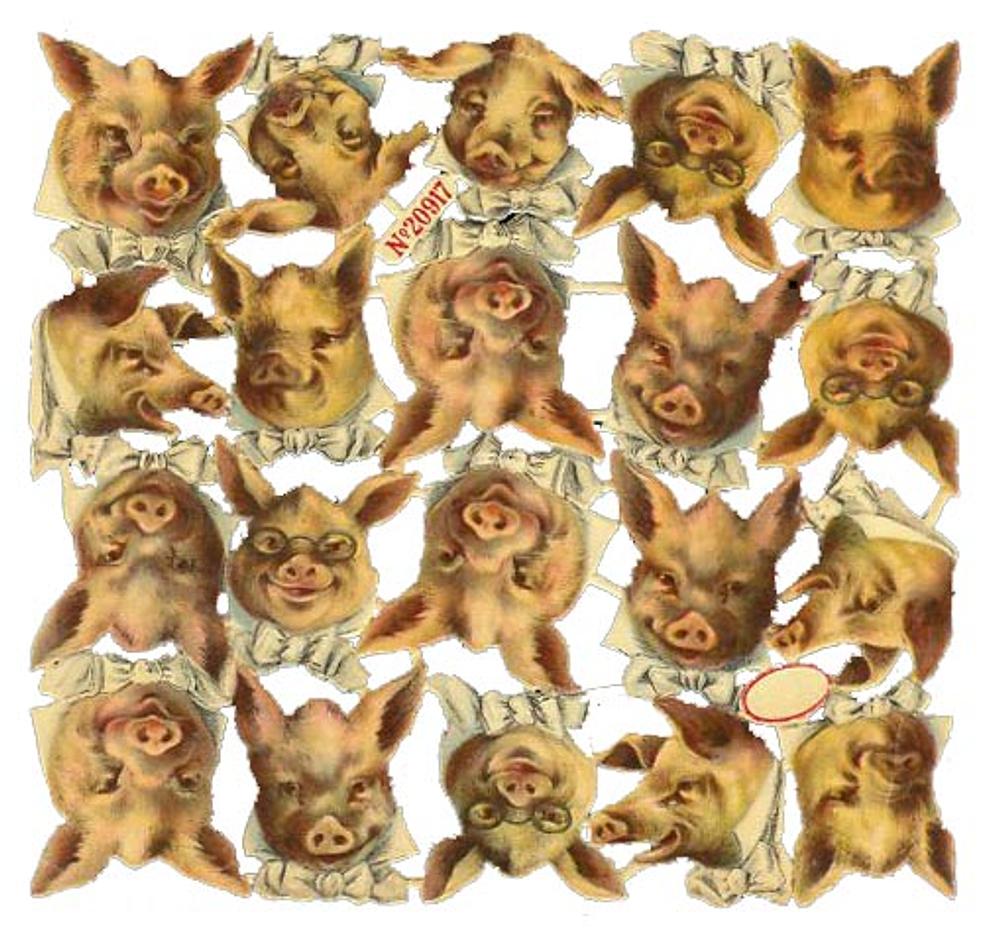 A&M 20917 pigs heads 2.jpg