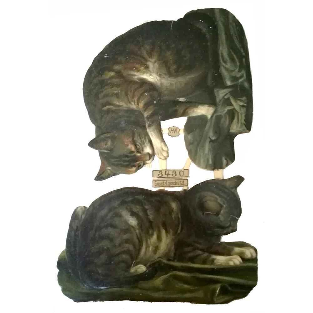 WH 3430 cats 2.jpg