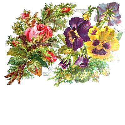 WH 3457 flowers 2.jpg