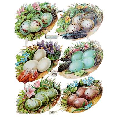 WH 5066 birds nests 2.jpg