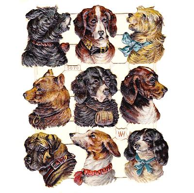 WH 5070 dogs heads 2.jpg