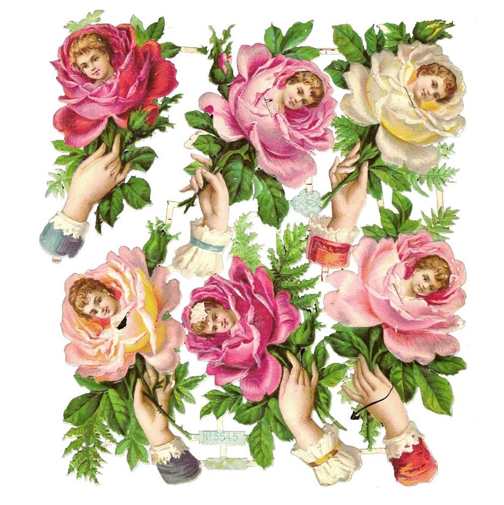 A.Radicke 5545 faces in roses.jpg