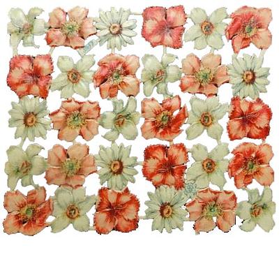 A.Radicke 5957 flowers, 2.jpg