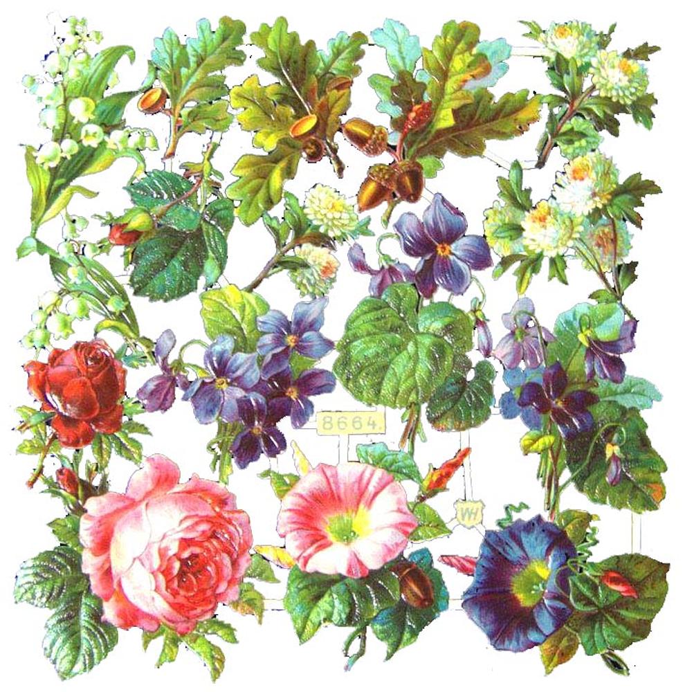 WH 8664 flowers 2.jpg