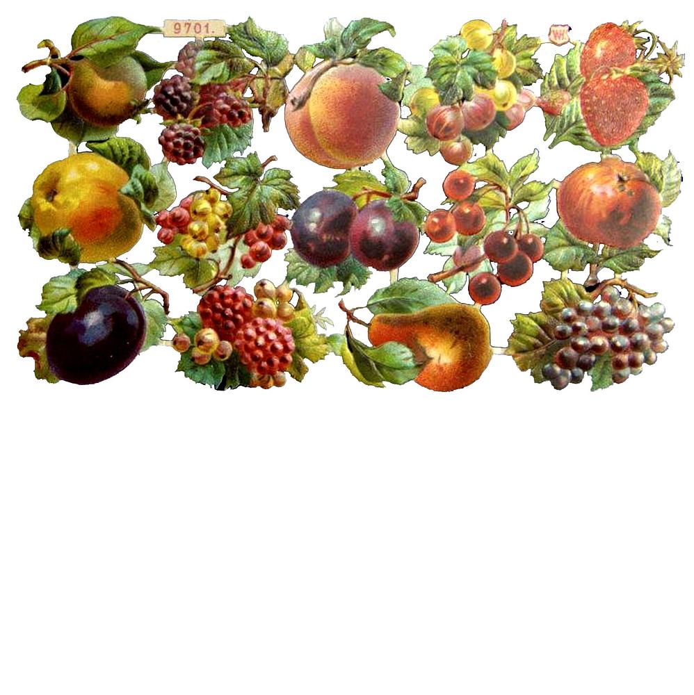 WH 9701 fruits 2.jpg