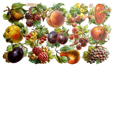 WH 9701 fruits 2.jpg
