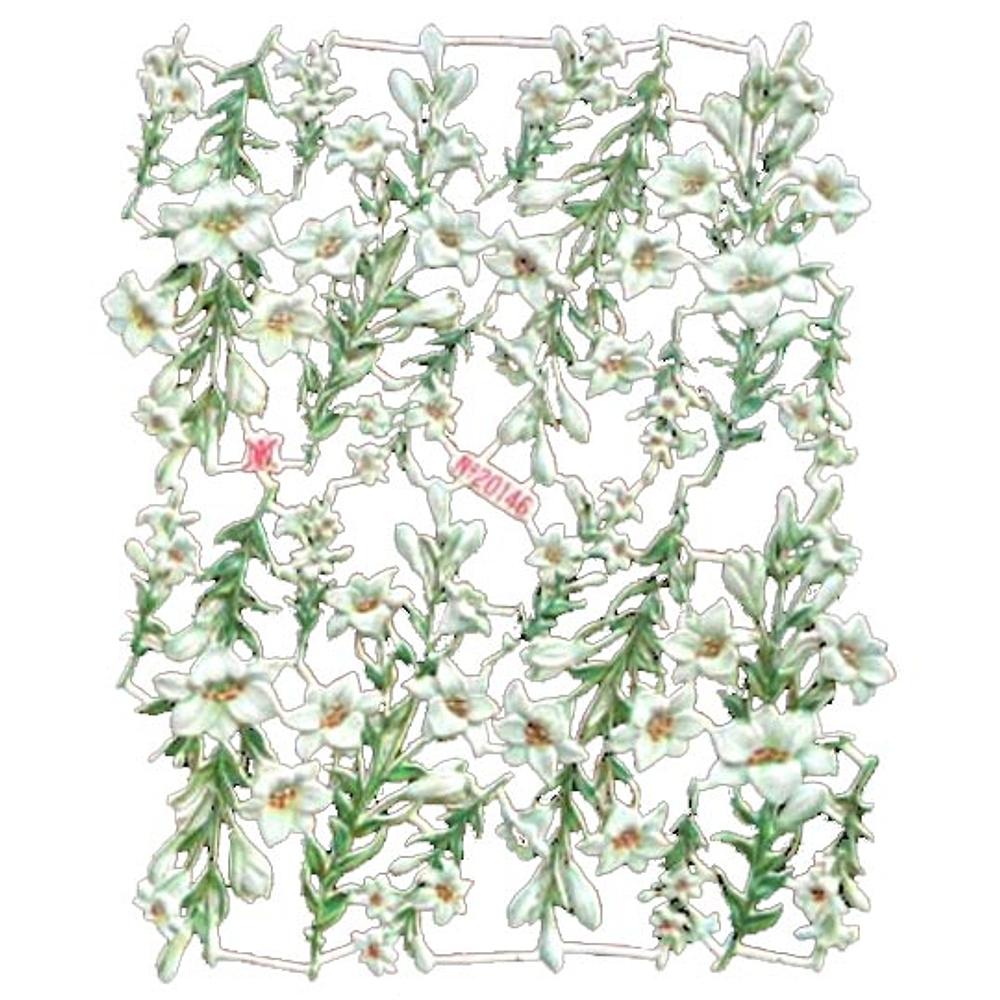 A&M 20146 flowers 2.jpg