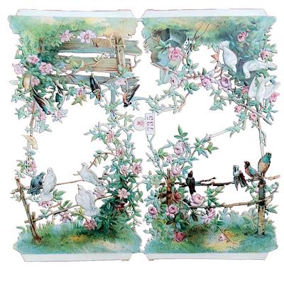 S&S 735 nature birds 2.jpg