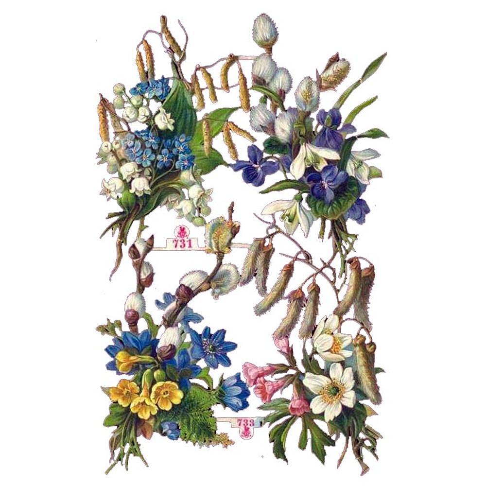 M.Schlesinger 731 flowers.jpg