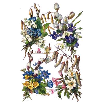 M.Schlesinger 731 flowers.jpg