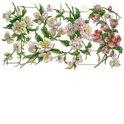 S&S 792 bloS&Som flowers 2.jpg