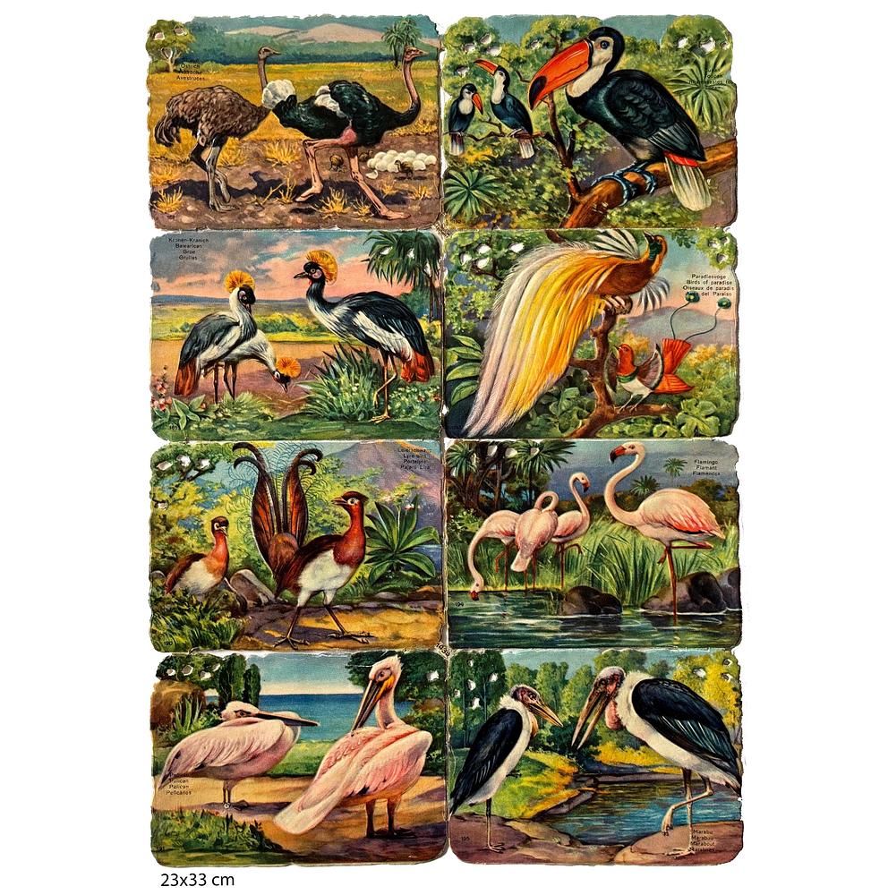 1433 animals educational.jpg