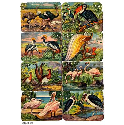 1433 animals educational.jpg