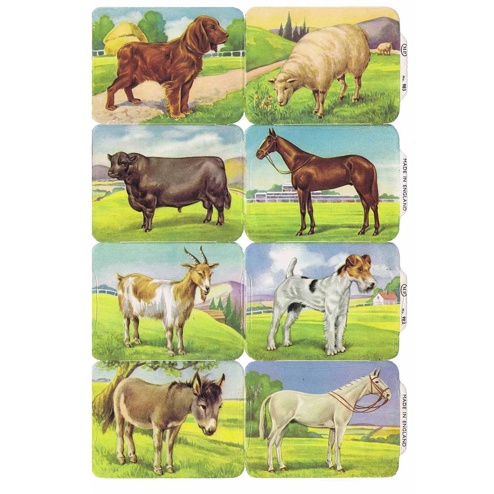 MP 983 b farm animals.jpg