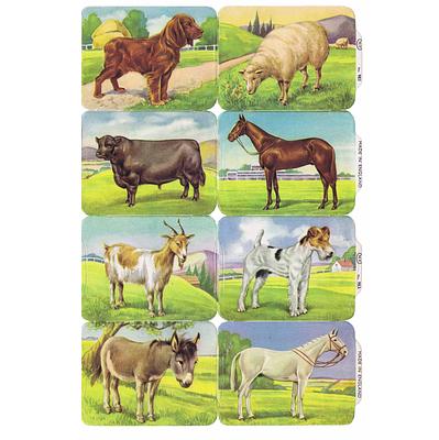 MP 983 b farm animals.jpg