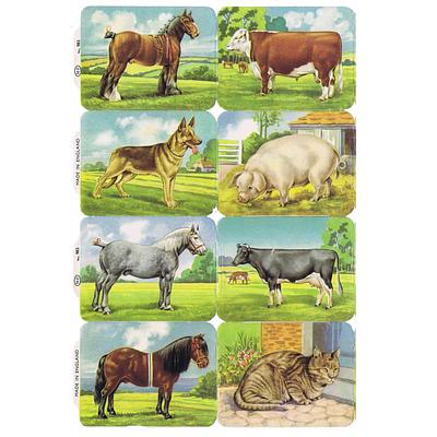 MP 983 a farm animals.jpg