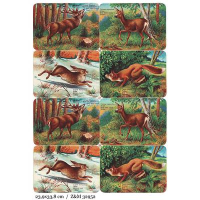Z&M 32952 animals in the forest.jpg