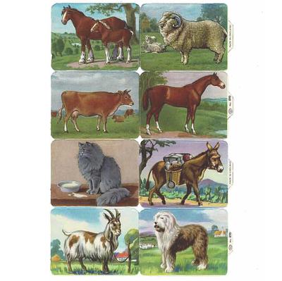 MP 890 B farm animals.jpg