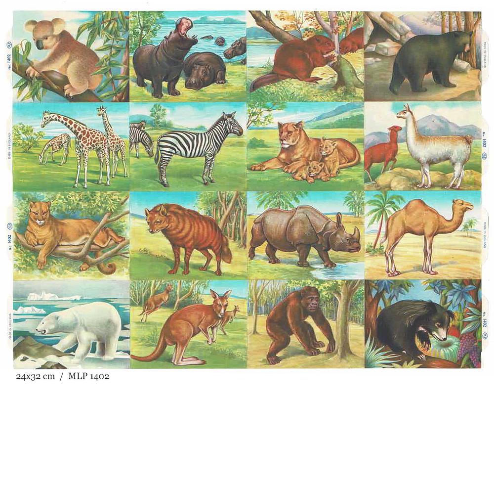 MLP 1402 animals.jpg