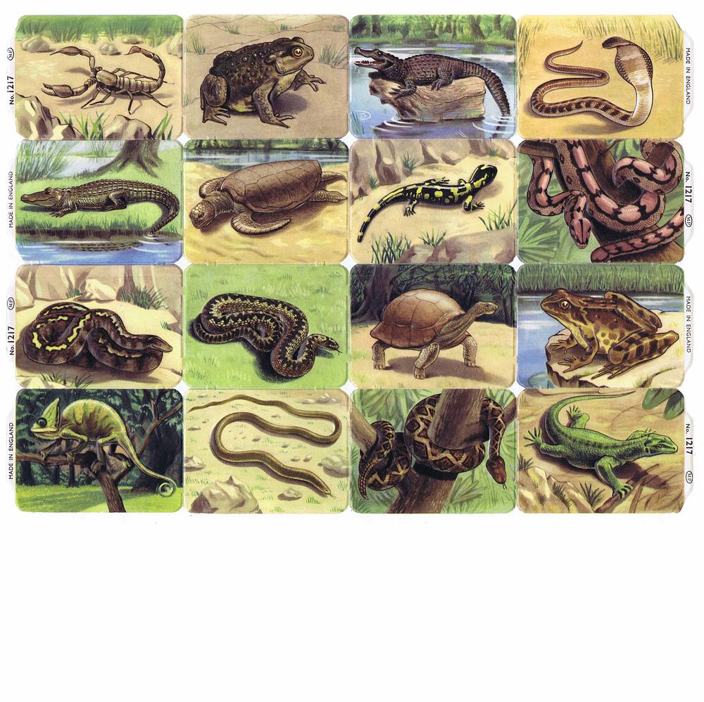 MP 1217 full sheet reptiles.jpg