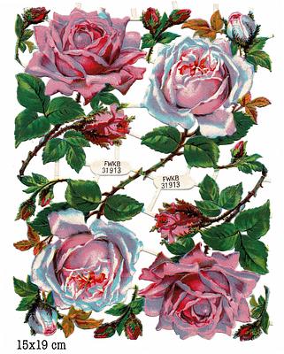 FWKB 31913 pink roses.jpg
