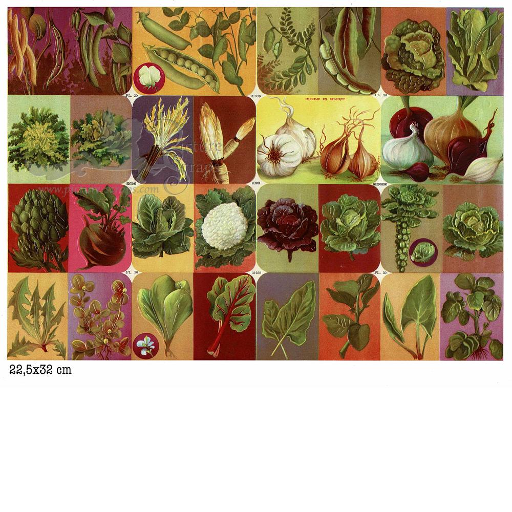 Hemma serie 31939 30 fruits and vegetables.jpg