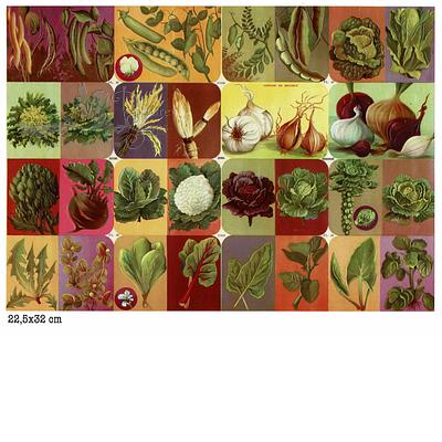 Hemma serie 31939 30 fruits and vegetables.jpg