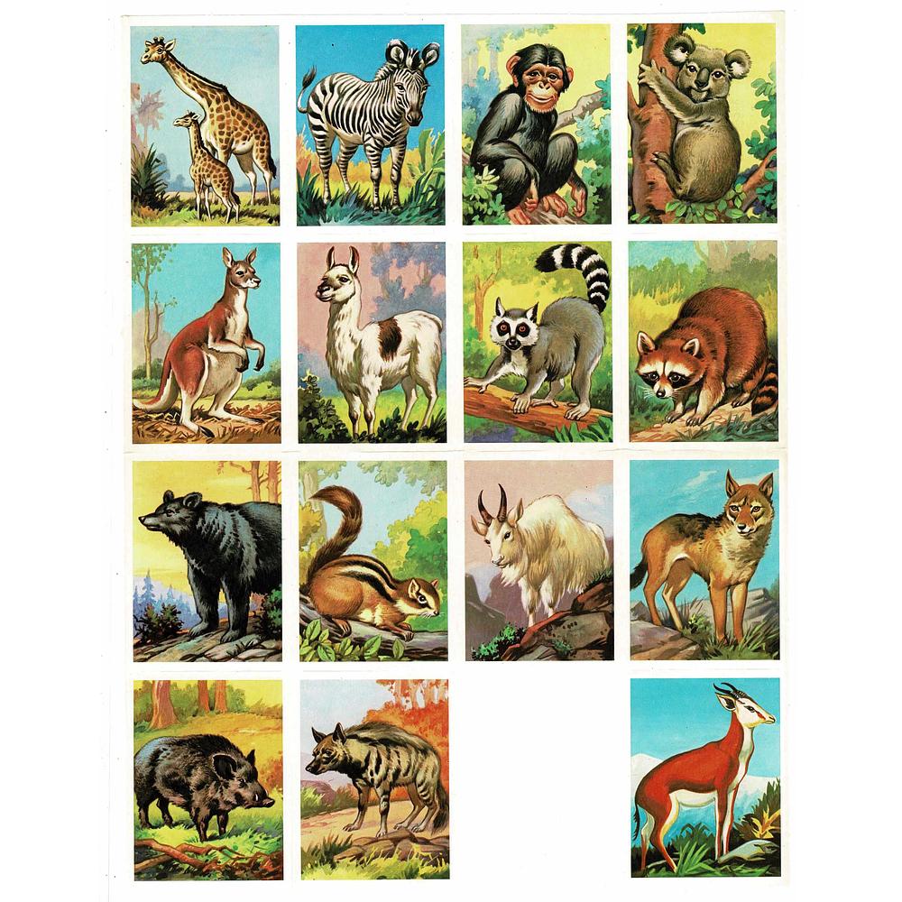 MLP 1445 animals one scrap missing.jpg