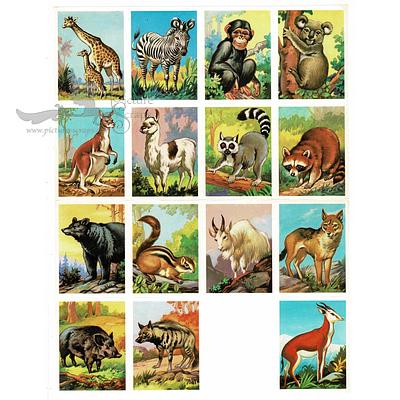 MLP 1445 animals one scrap missing.jpg