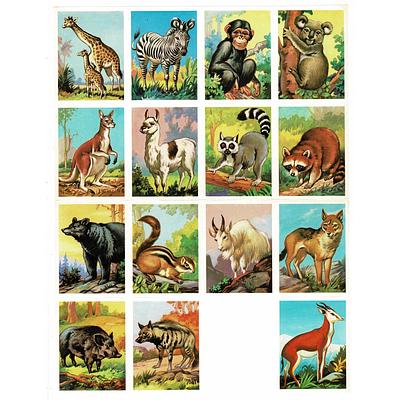 MLP 1445 animals one scrap missing.jpg