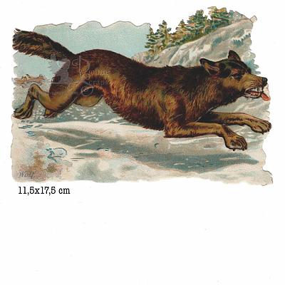 R.Tuck 1125 wolf.jpg