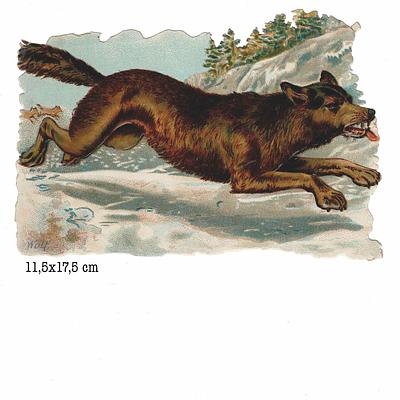 R.Tuck 1125 wolf.jpg