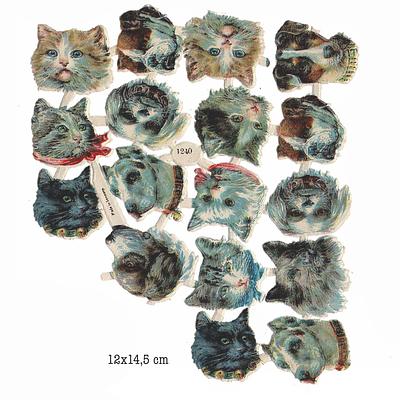 NL 1240 cats and dogs heads part.jpg