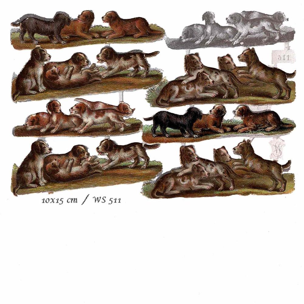 WS 511 dogs on copy.jpg