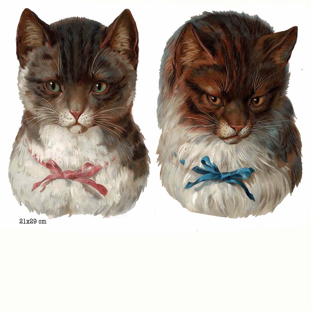 R.Tuck cats heads.jpg