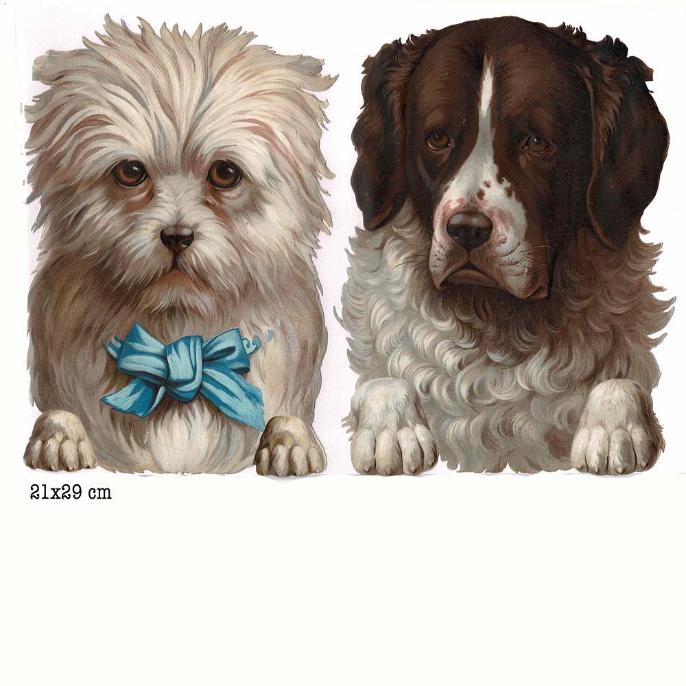 R.tuck dogs heads.jpg