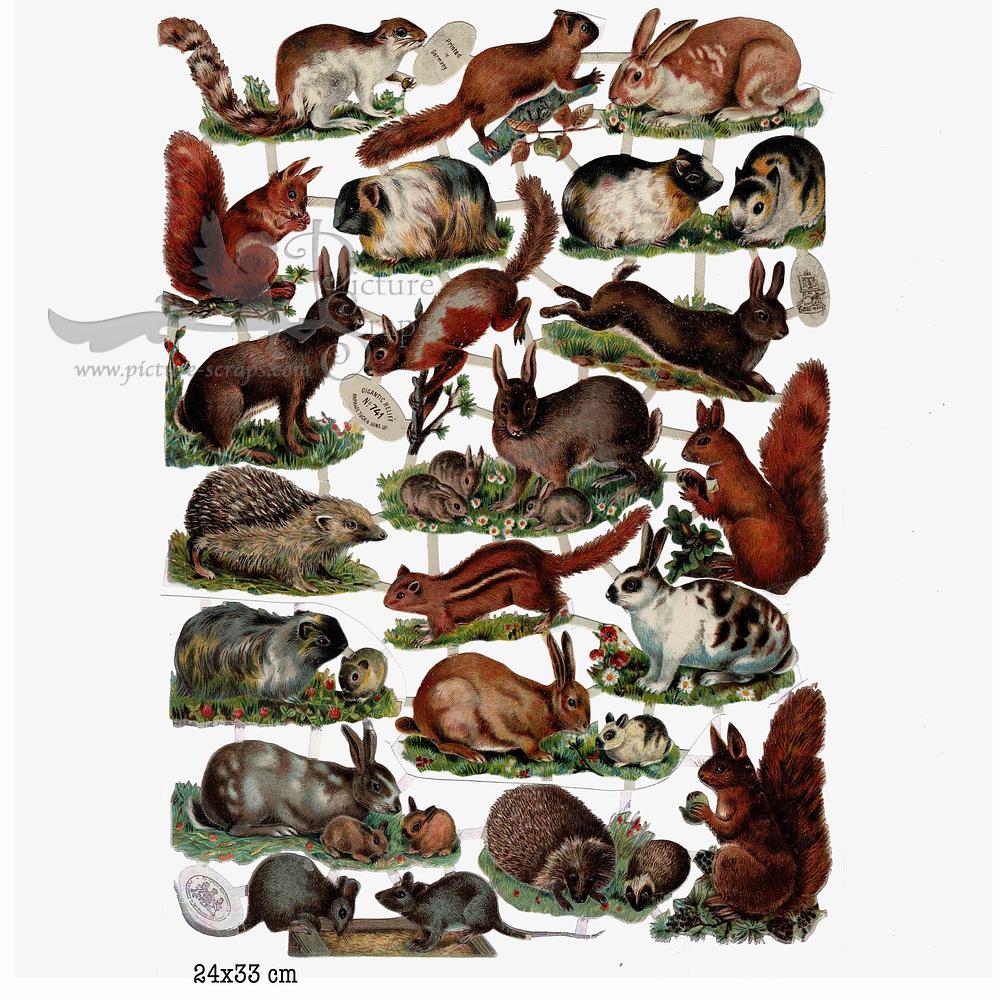 R.Tuck 741 animals.jpg