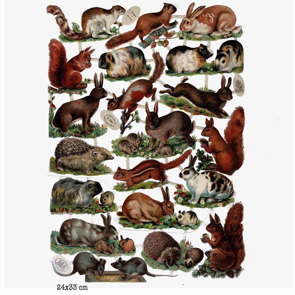 R.Tuck 741 animals.jpg