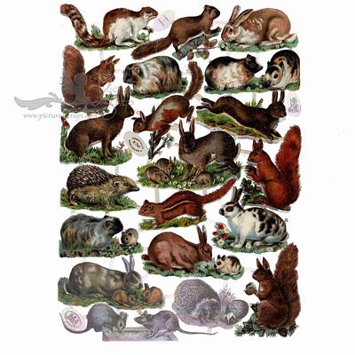 r.tuck 741 scraps on copy.jpg