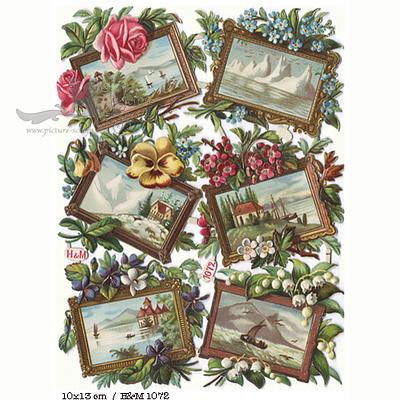 H&M 1072 rural and flowers.jpg