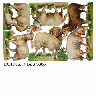 L&B 3380 sheep 11x15 xm.jpg