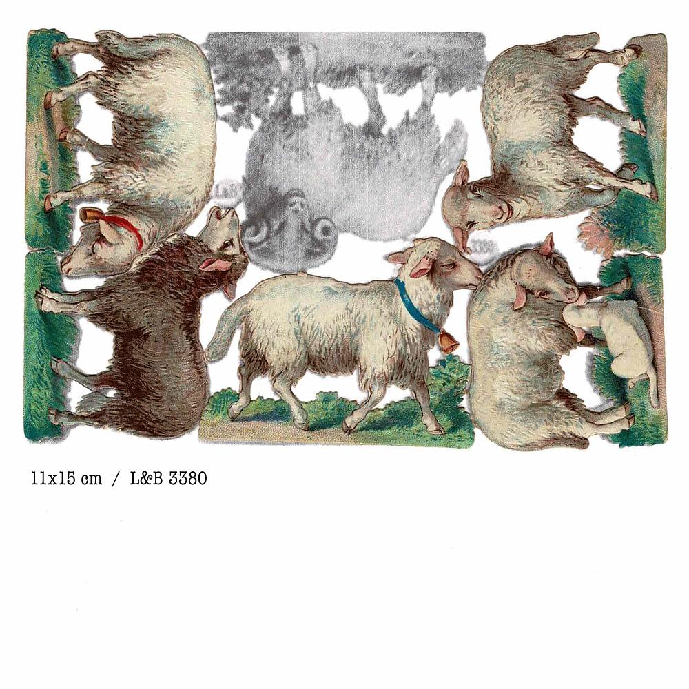 L&B 3380 sheep 11x15 xm on copy.jpg
