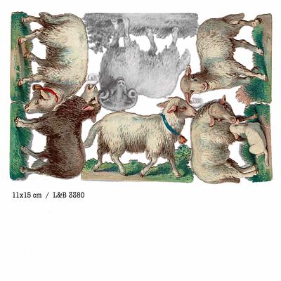 L&B 3380 sheep 11x15 xm on copy.jpg