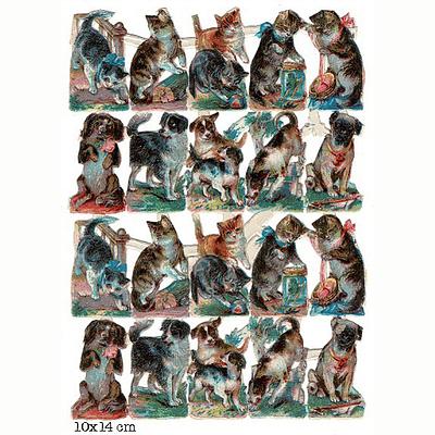 nn dogs and cats.jpg