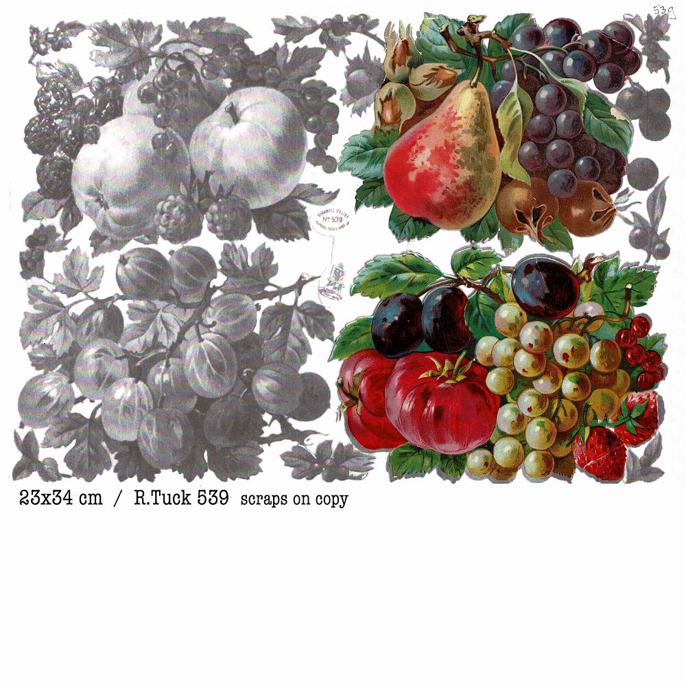 r.tuck 359 fruits on copy.jpg