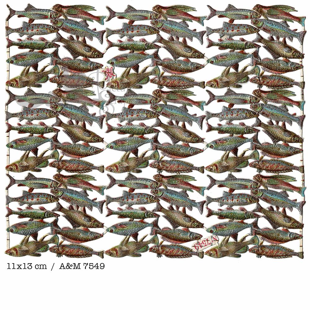 A&M 7549 fish.jpg