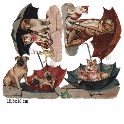 618 cats and dogs.jpg