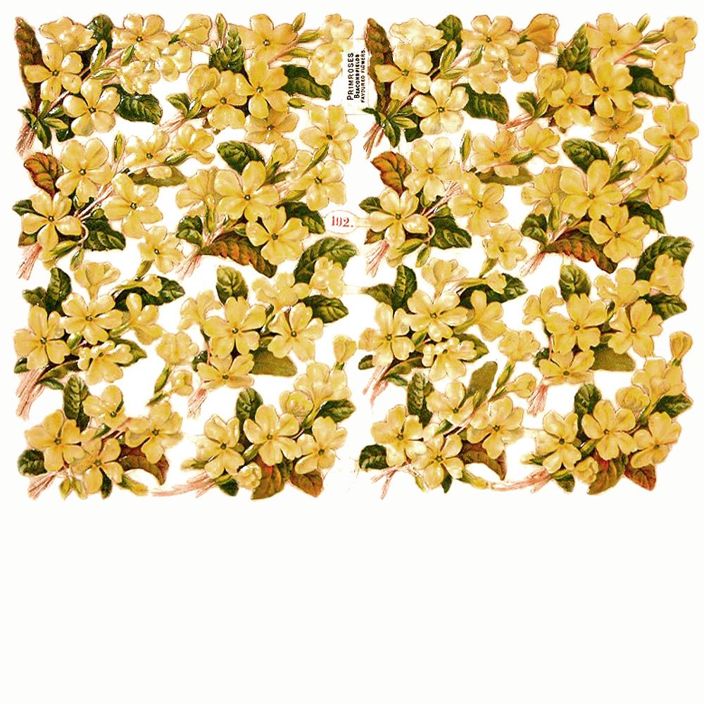 R.Tuck 192 primroses.jpg