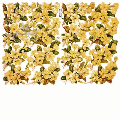 R.Tuck 192 primroses.jpg