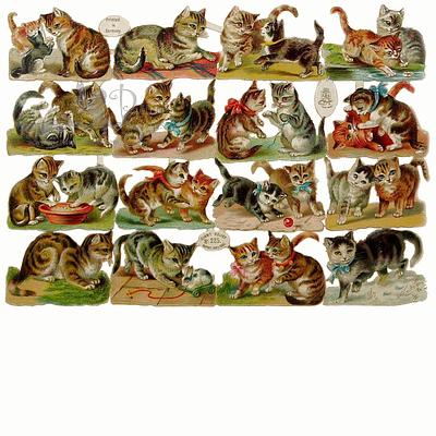 R.Tuck 225 kittens 1.jpg